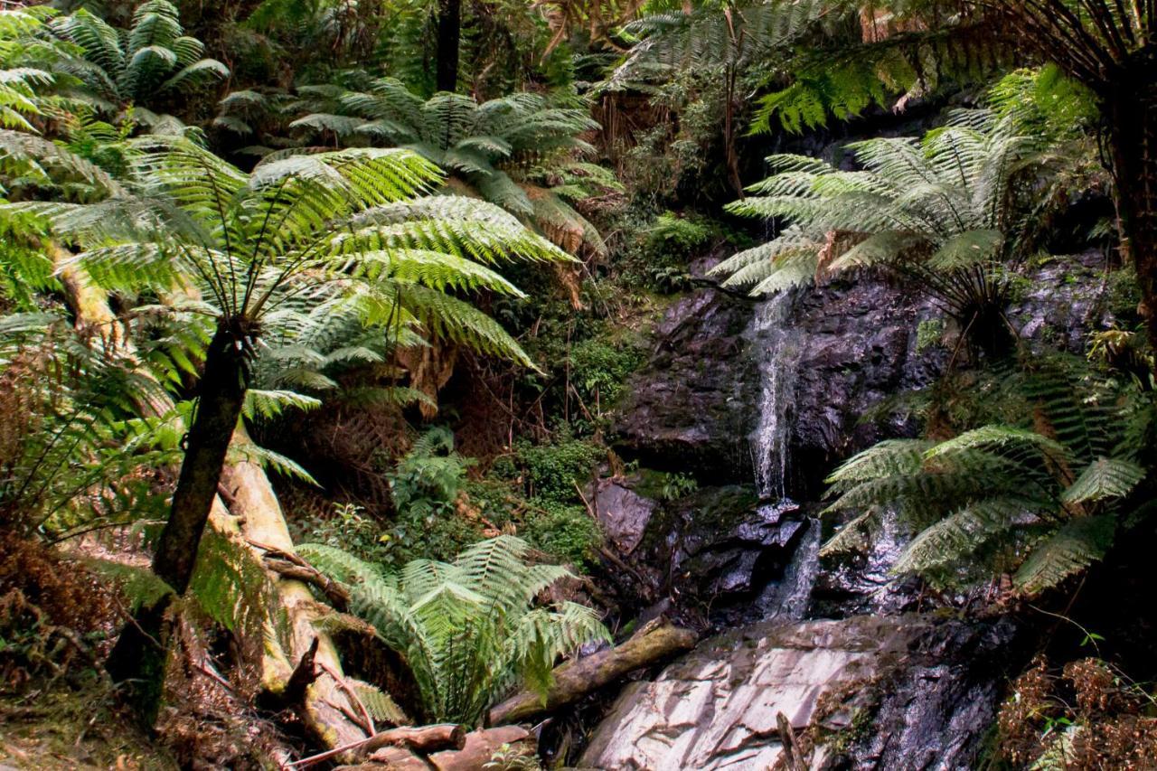 Yarram Holiday Park Exteriör bild